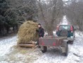 /album/prikrmovanie-zveri/a20140122-123107-jpg/