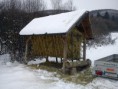 /album/prikrmovanie-zveri/dsc00059-jpg/