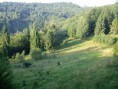 /album/fotogaleria-foto-zo-zdruzenia/dsc00462-jpg/